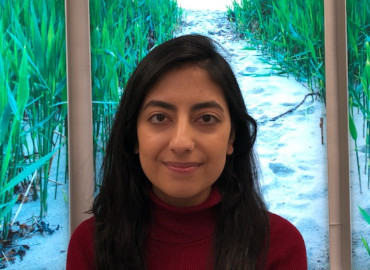 Nahid Osmai